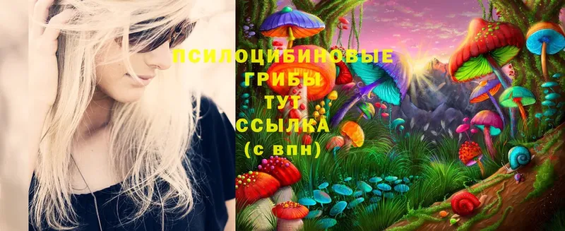 Псилоцибиновые грибы Magic Shrooms  Северская 